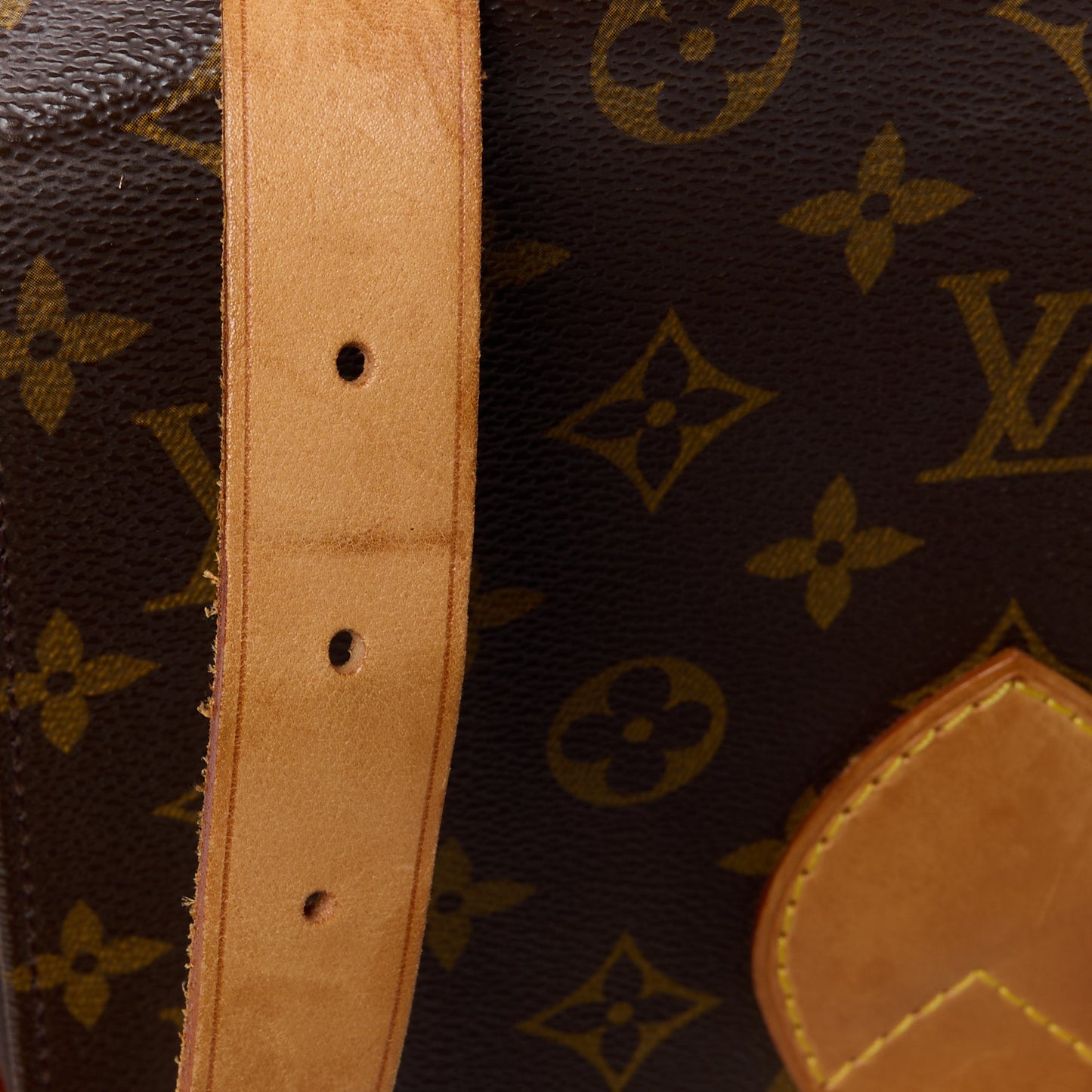 Monogram Cartouchiere 22