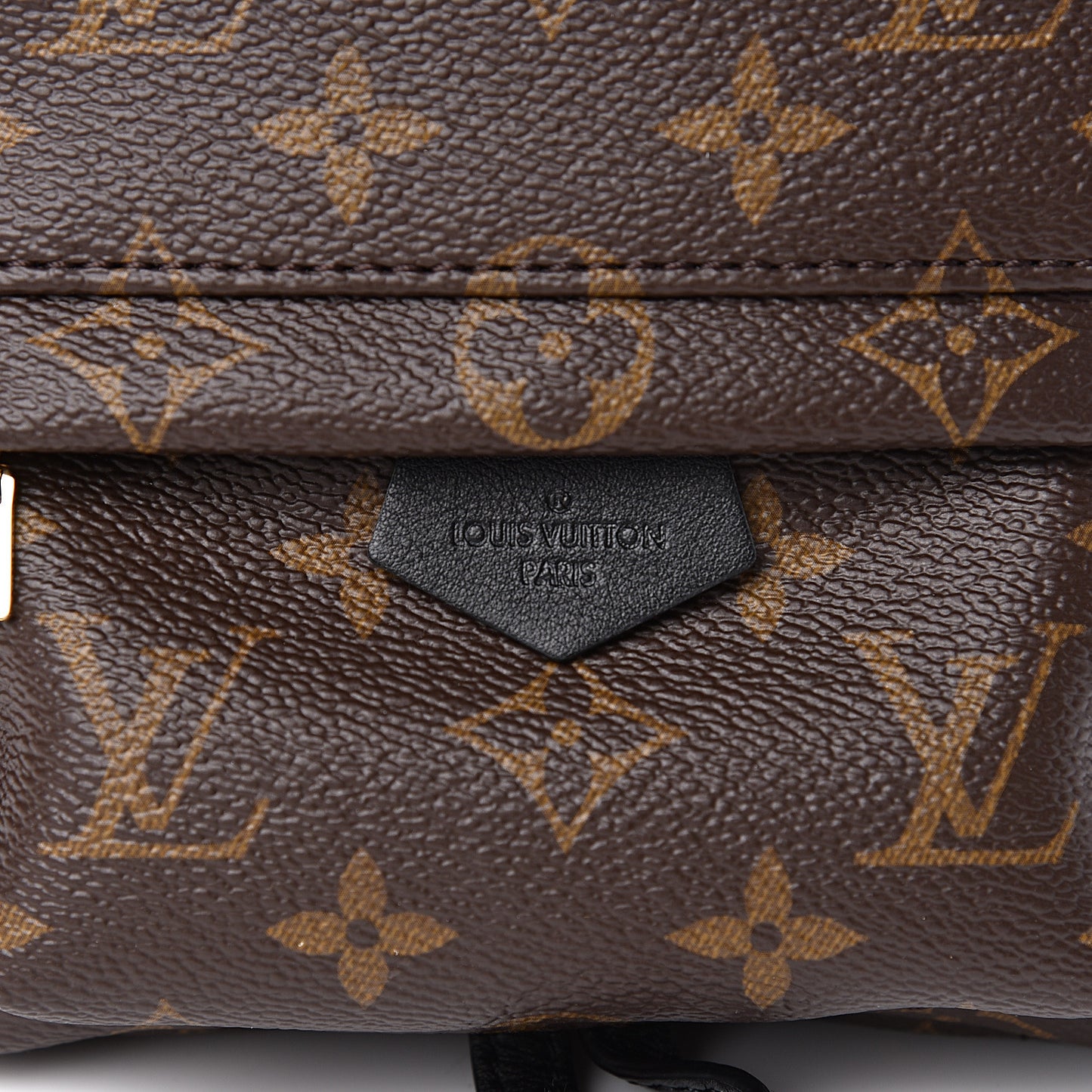 Monogram Palm Springs Backpack Mini