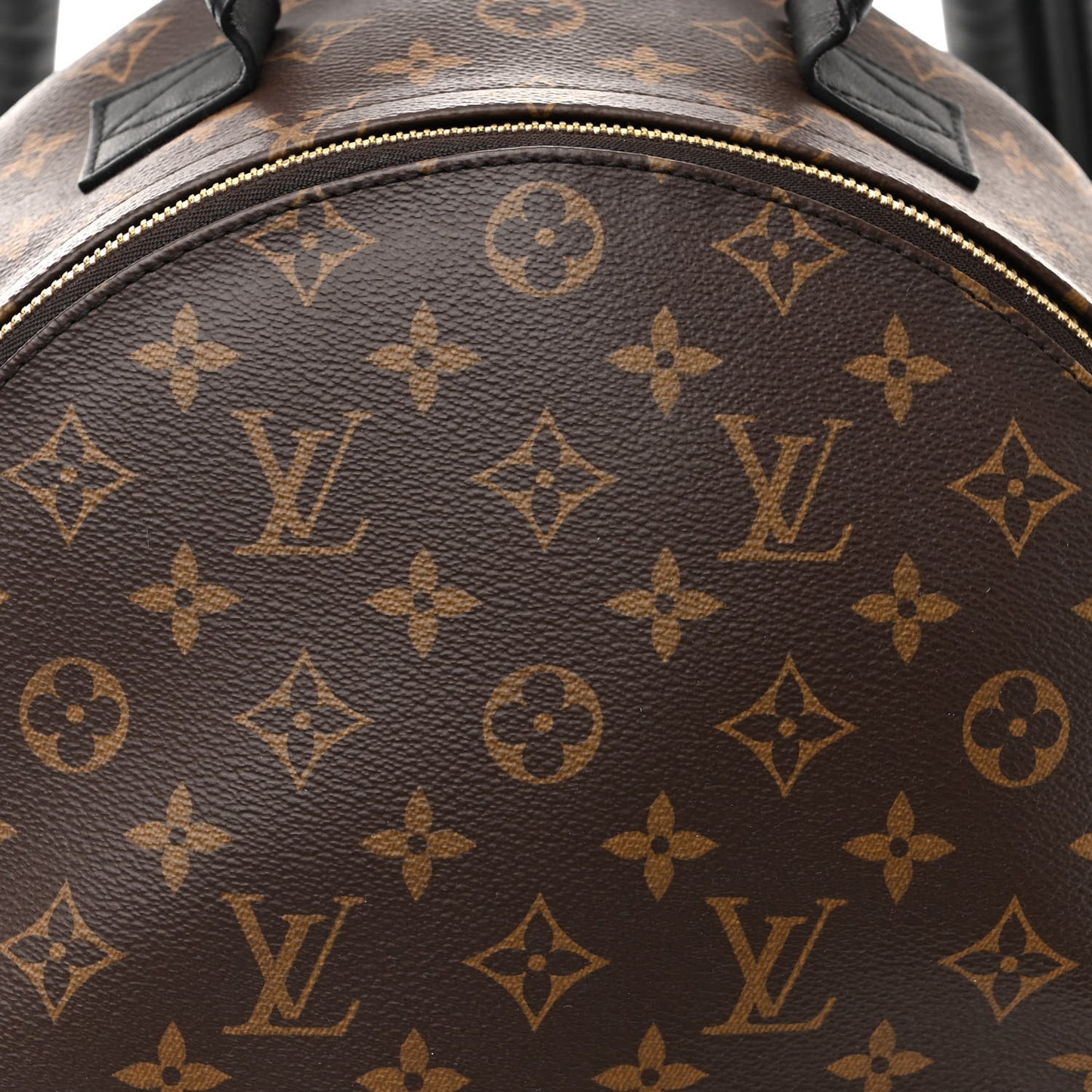 Monogram Palm Springs Backpack MM