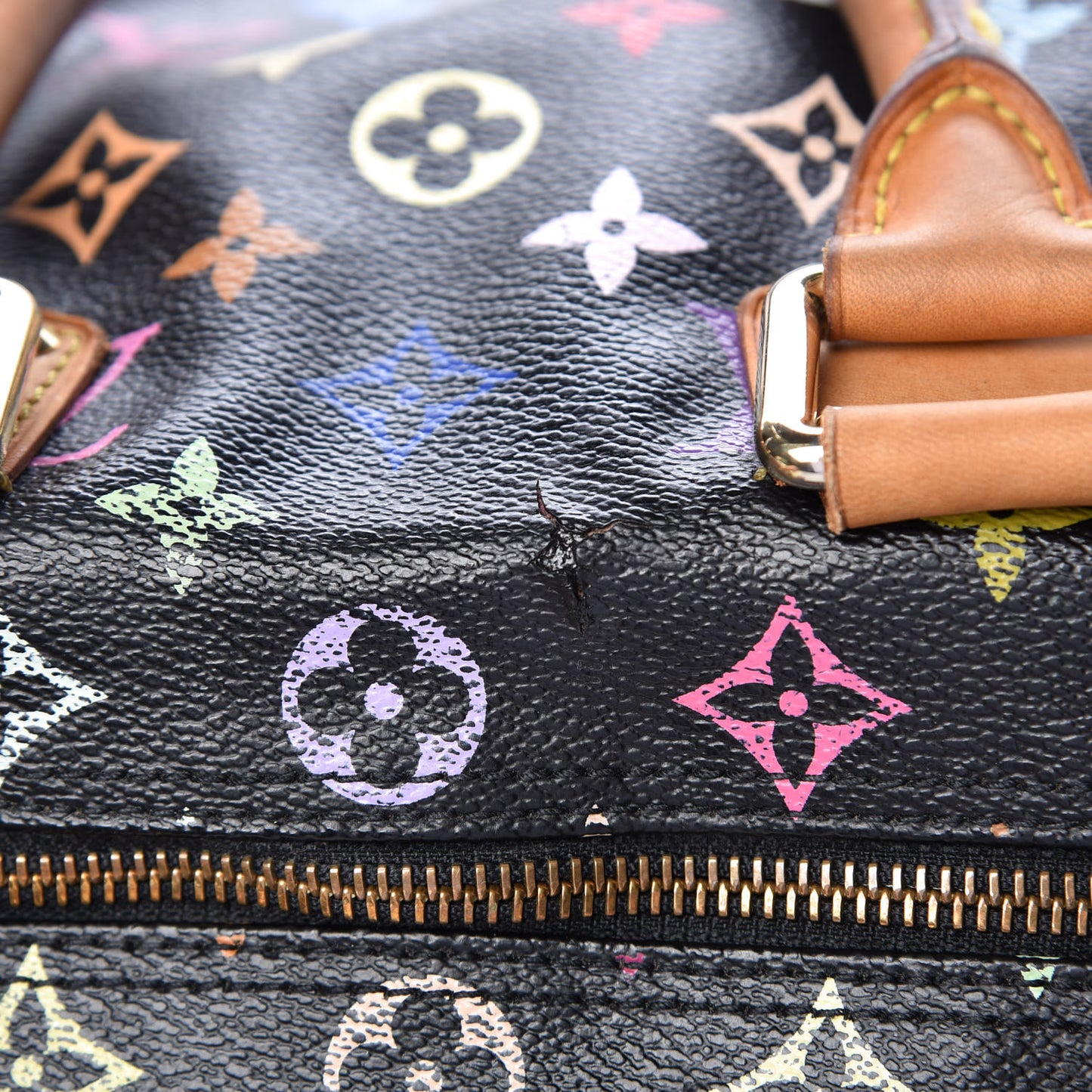 Monogram Multicolor Speedy 30 Black