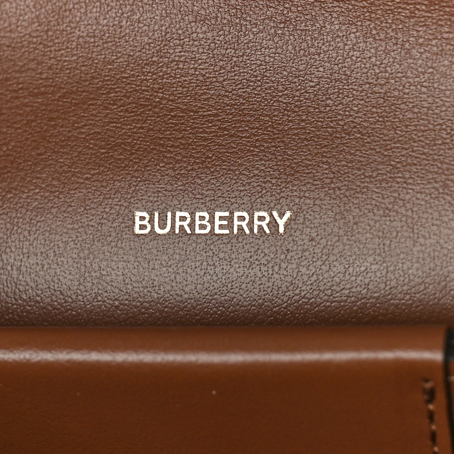 Suede Calfskin Large Jessie Chain TB Bag Biscuit