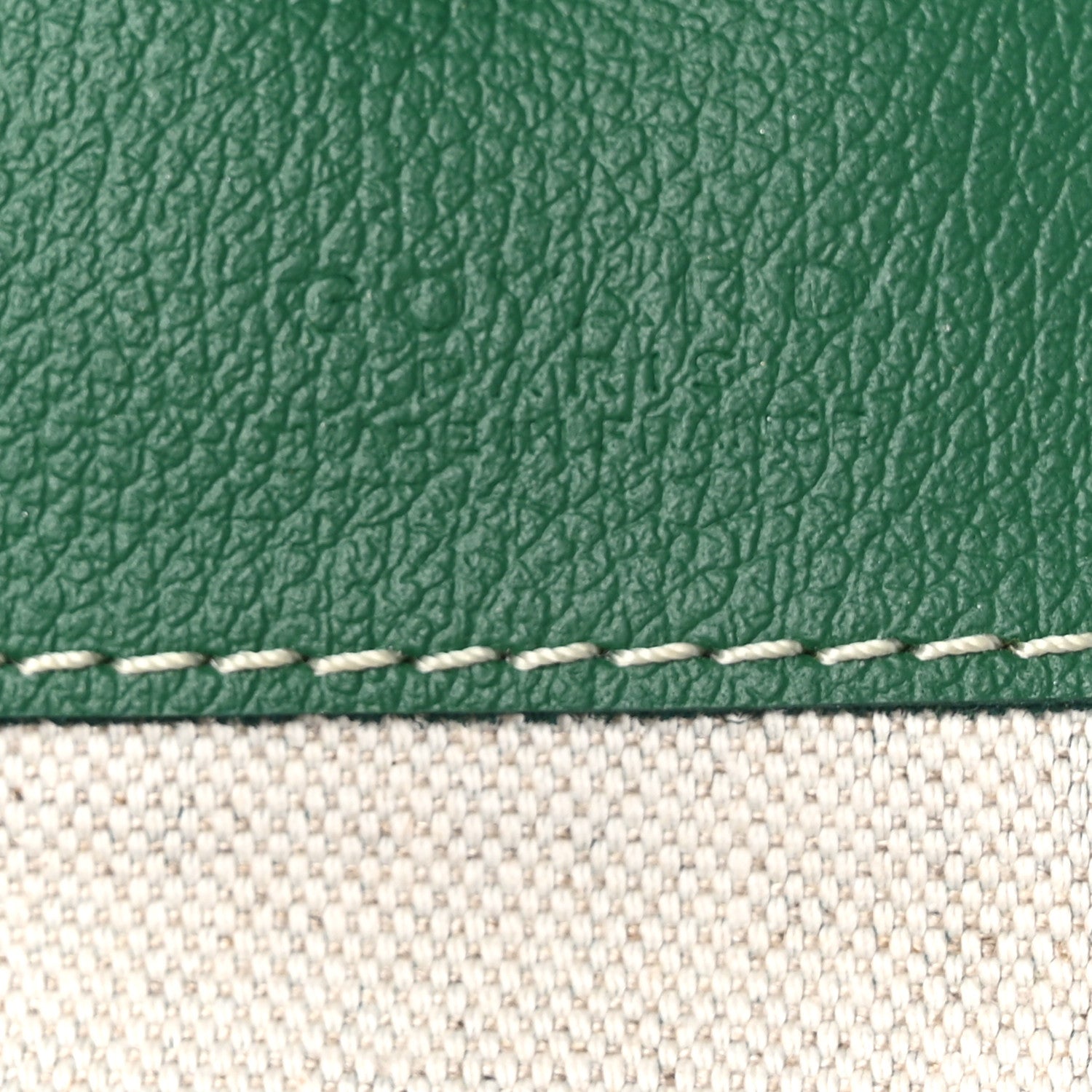 Goyard Goyardine Saint Louis PM Green 7 of 11
