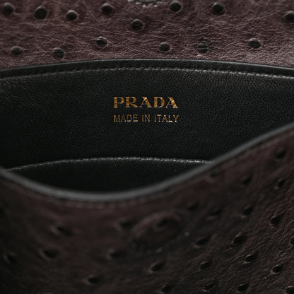 Prada Ostrich Double Bag Grey 6 of 16