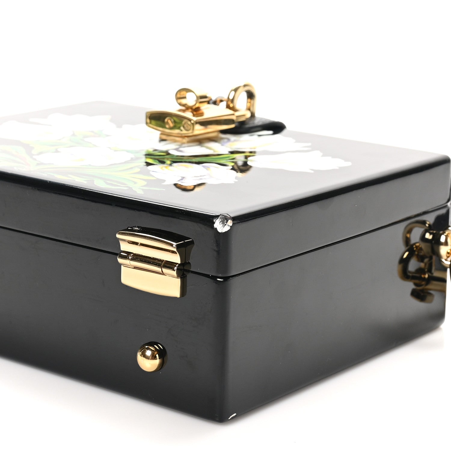 Dolce & Gabbana Plexiglass Calfskin Lizard Embossed Floral Box Bag Black 9 of 11
