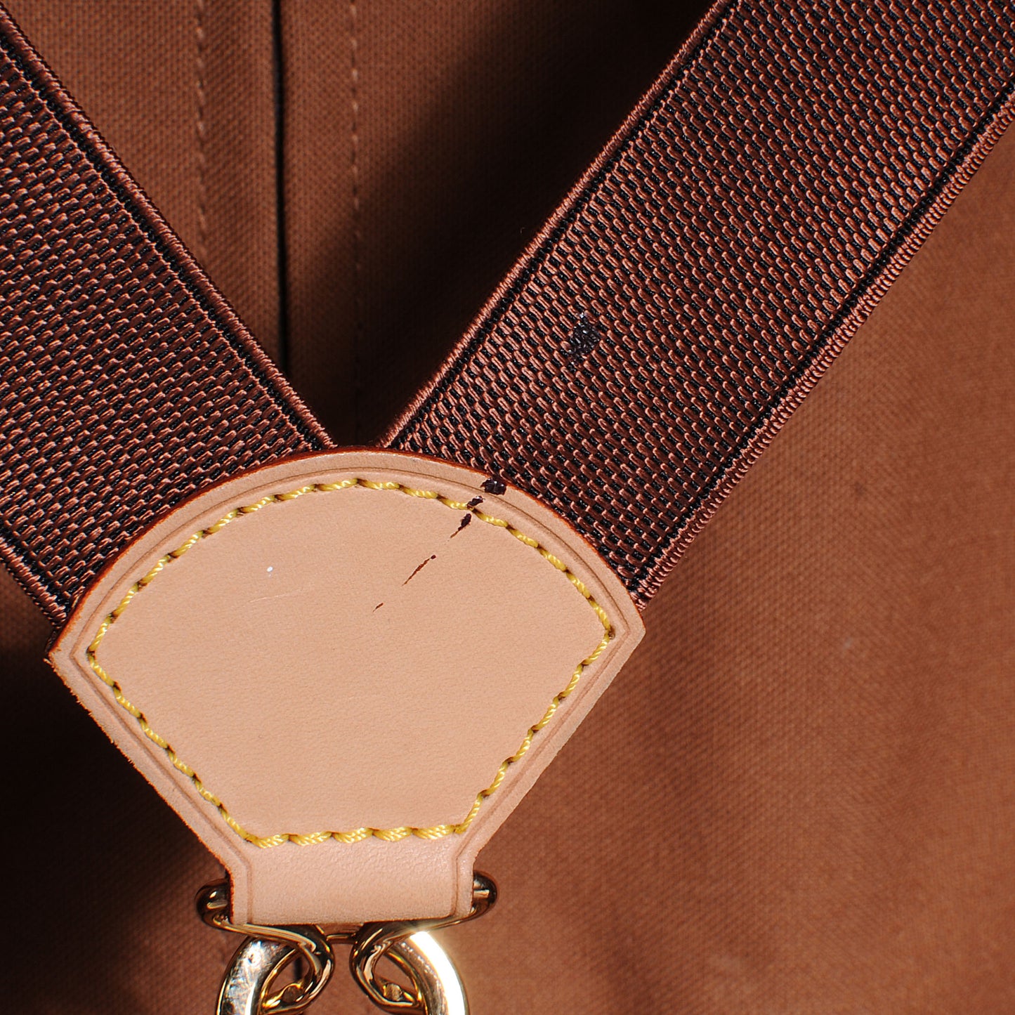 Monogram Pegase 55