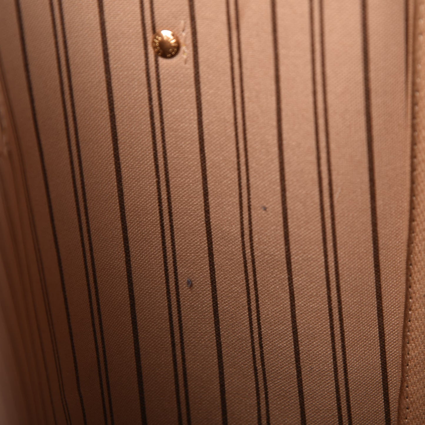Monogram Neo Neverfull MM