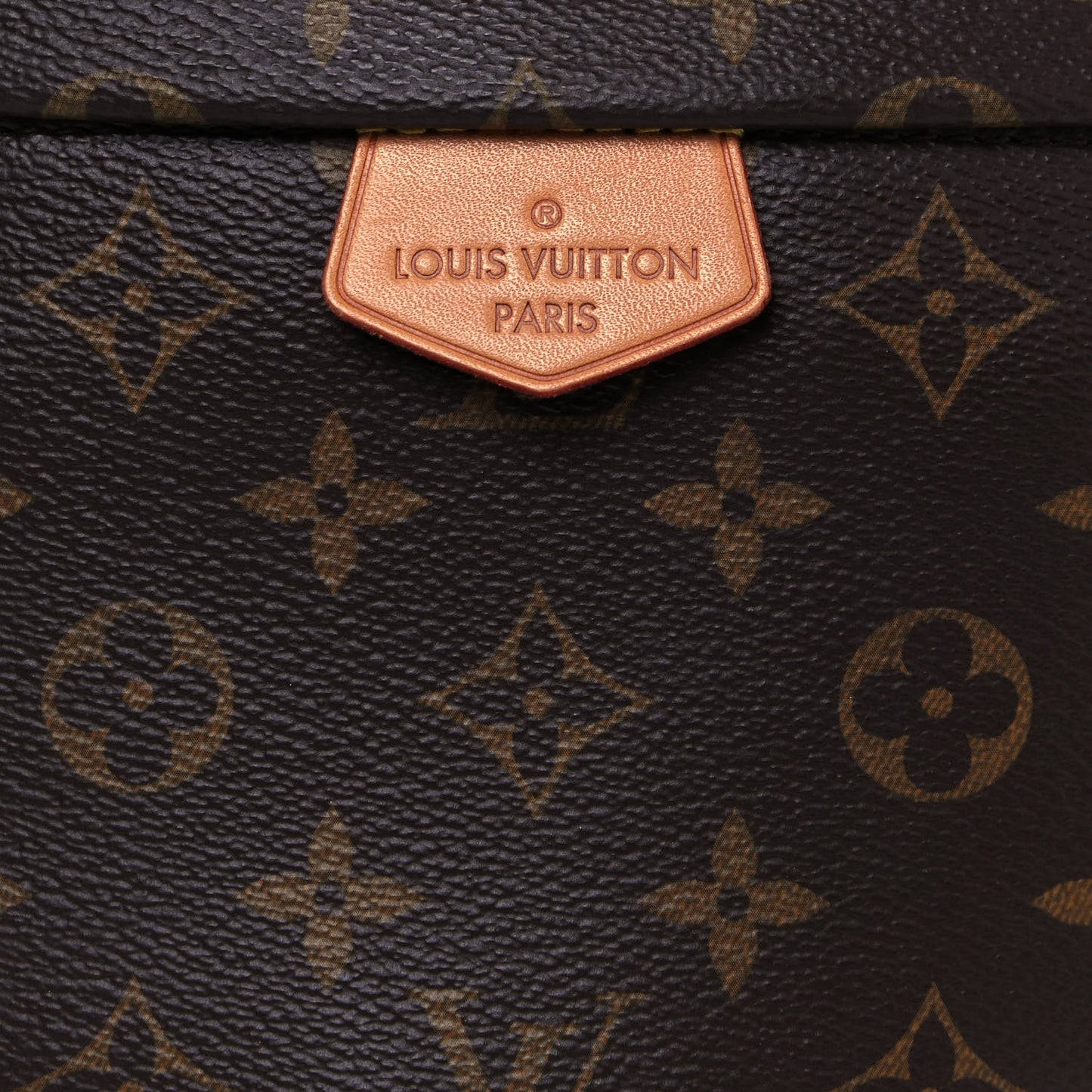 Monogram Bumbag