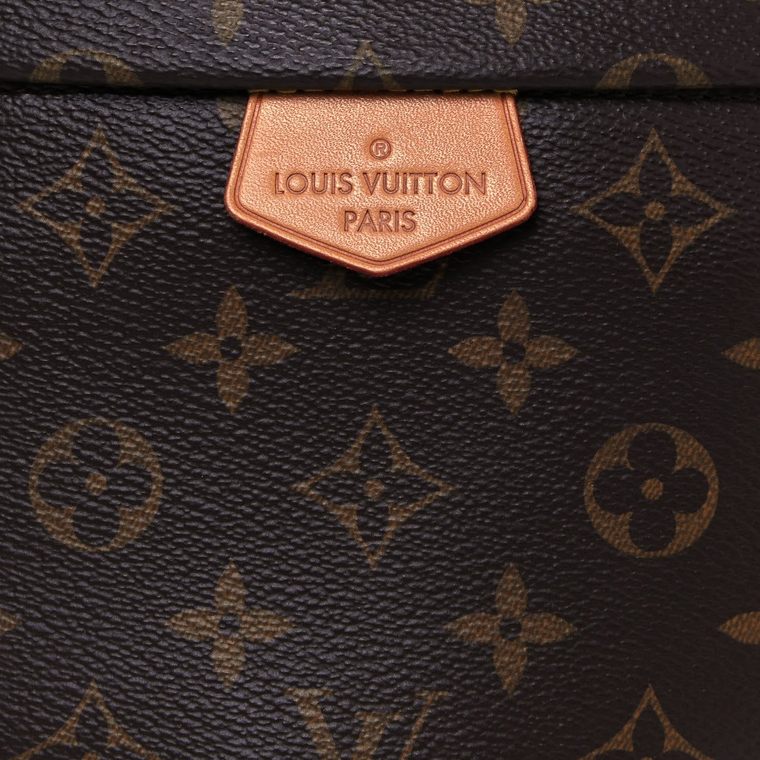 Louis Vuitton Monogram Bumbag 7 of 12