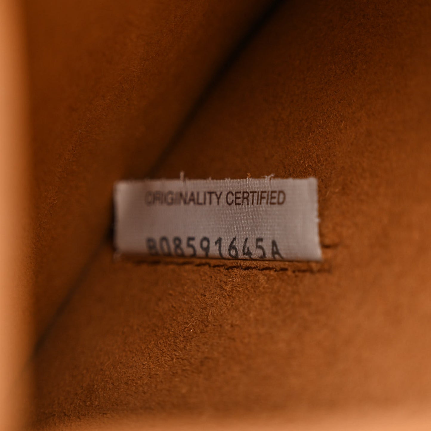 Grainy Calfskin Small Arco Wood