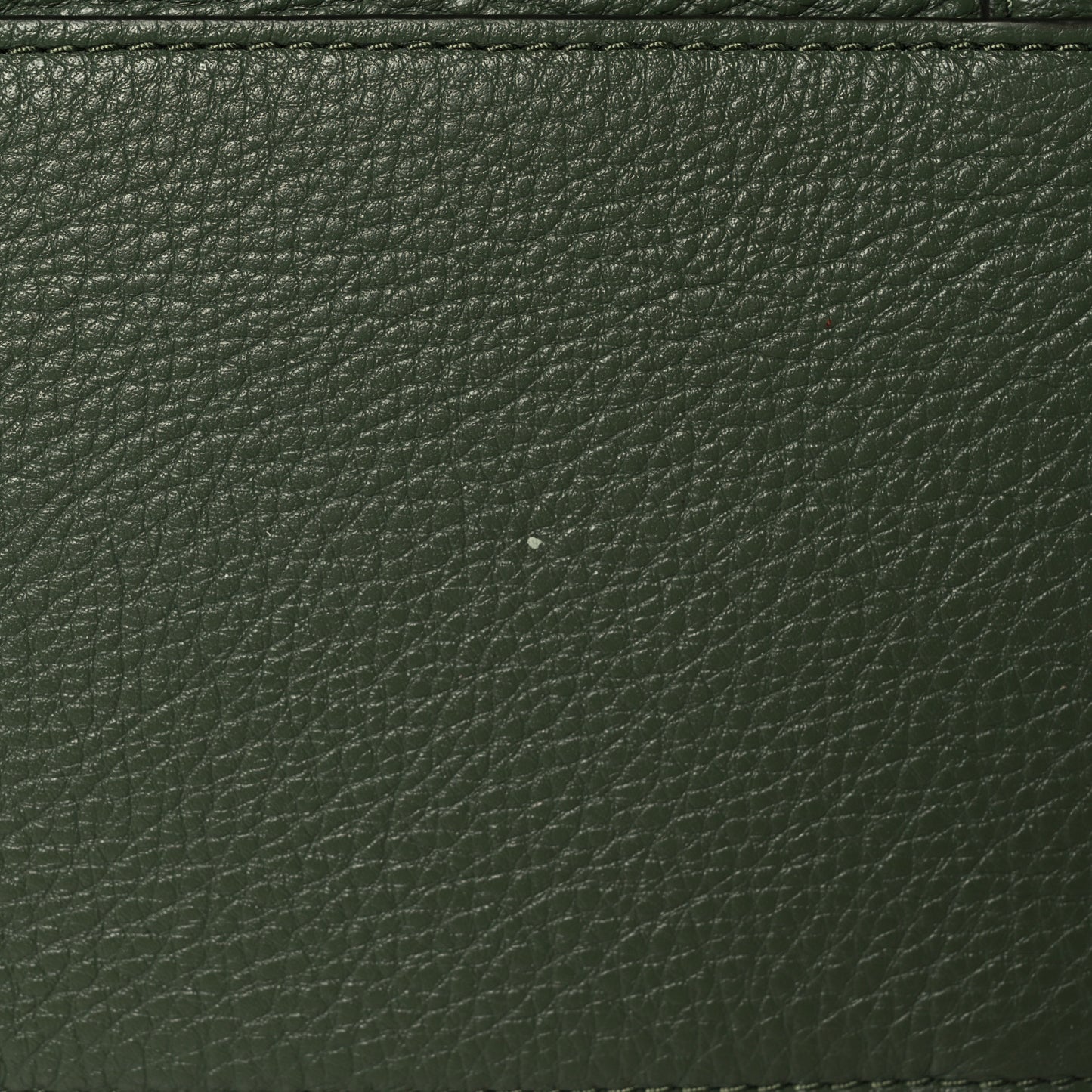 Grained Calfskin The Tag Tote Green