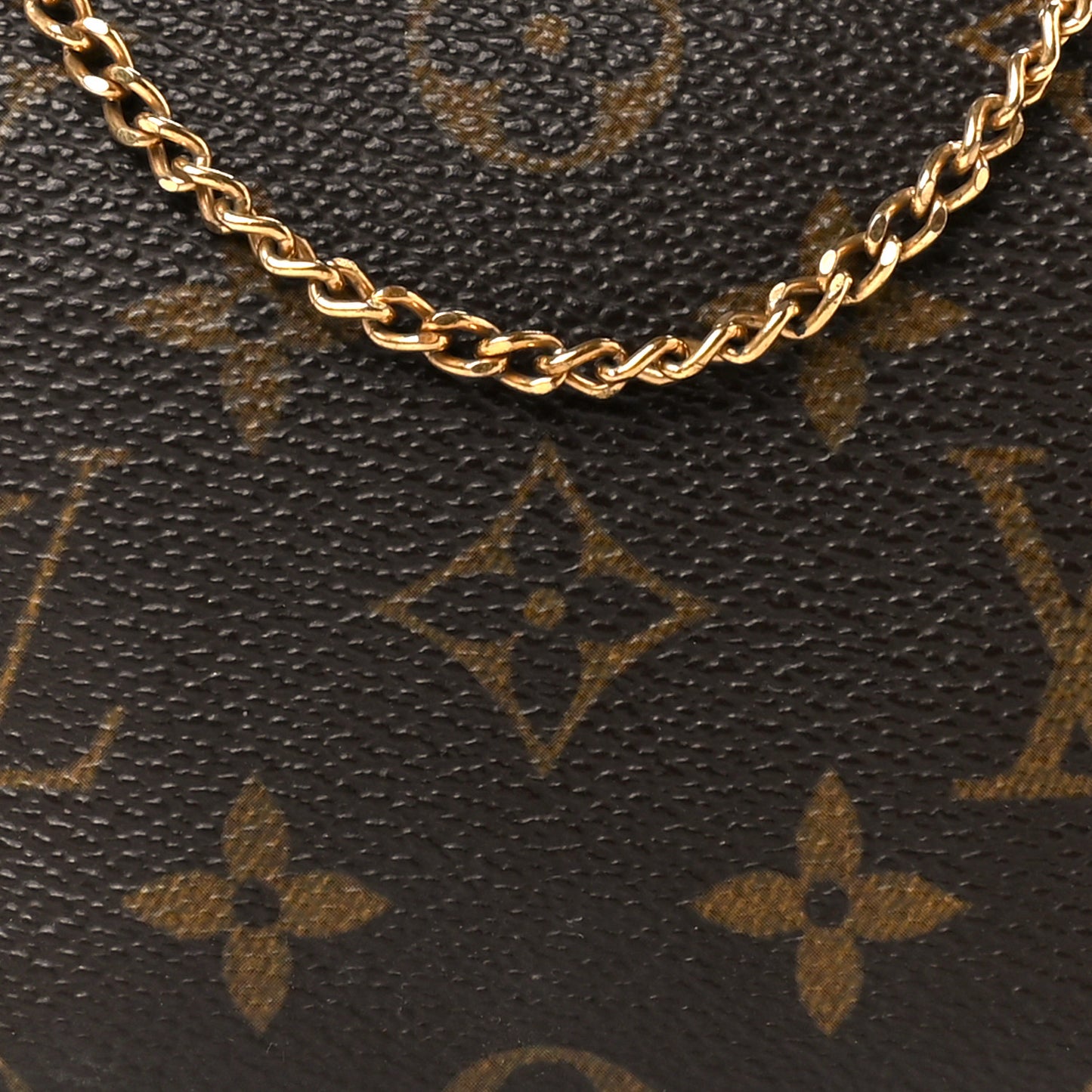 Monogram Mini Pochette Accessories