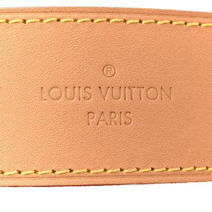 Louis Vuitton Monogram Carryall MM 7 of 10