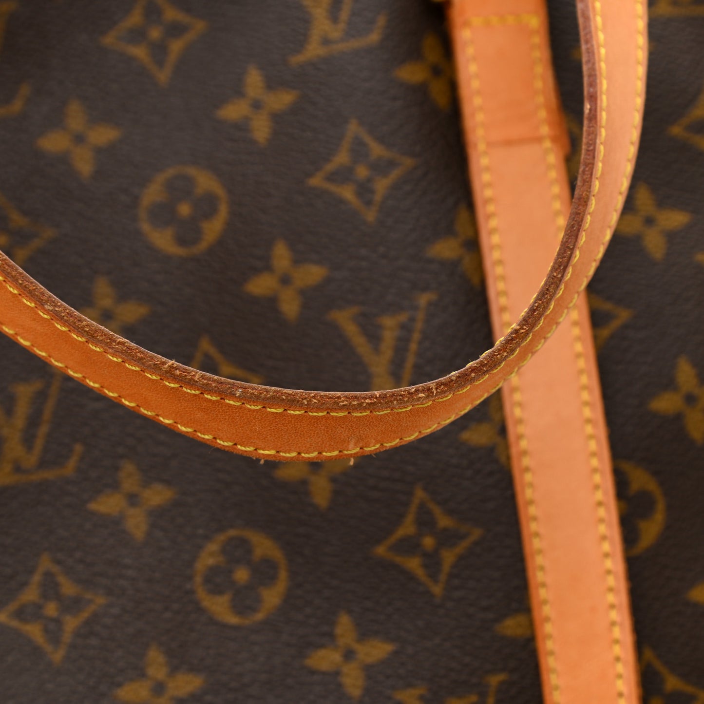 Monogram Cabas Mezzo