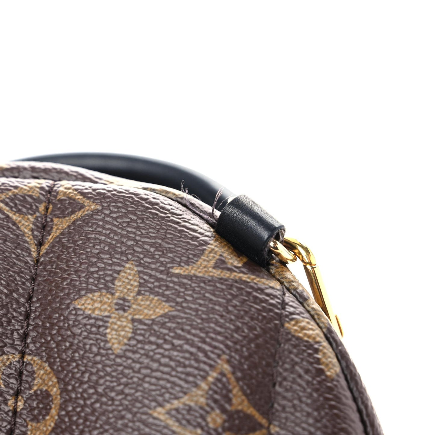Monogram Palm Springs Backpack Mini