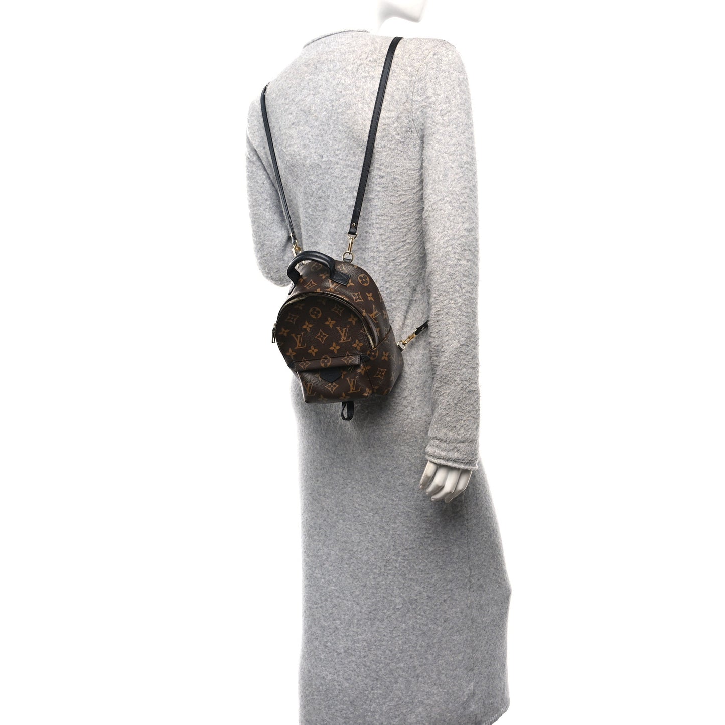 Monogram Palm Springs Backpack Mini