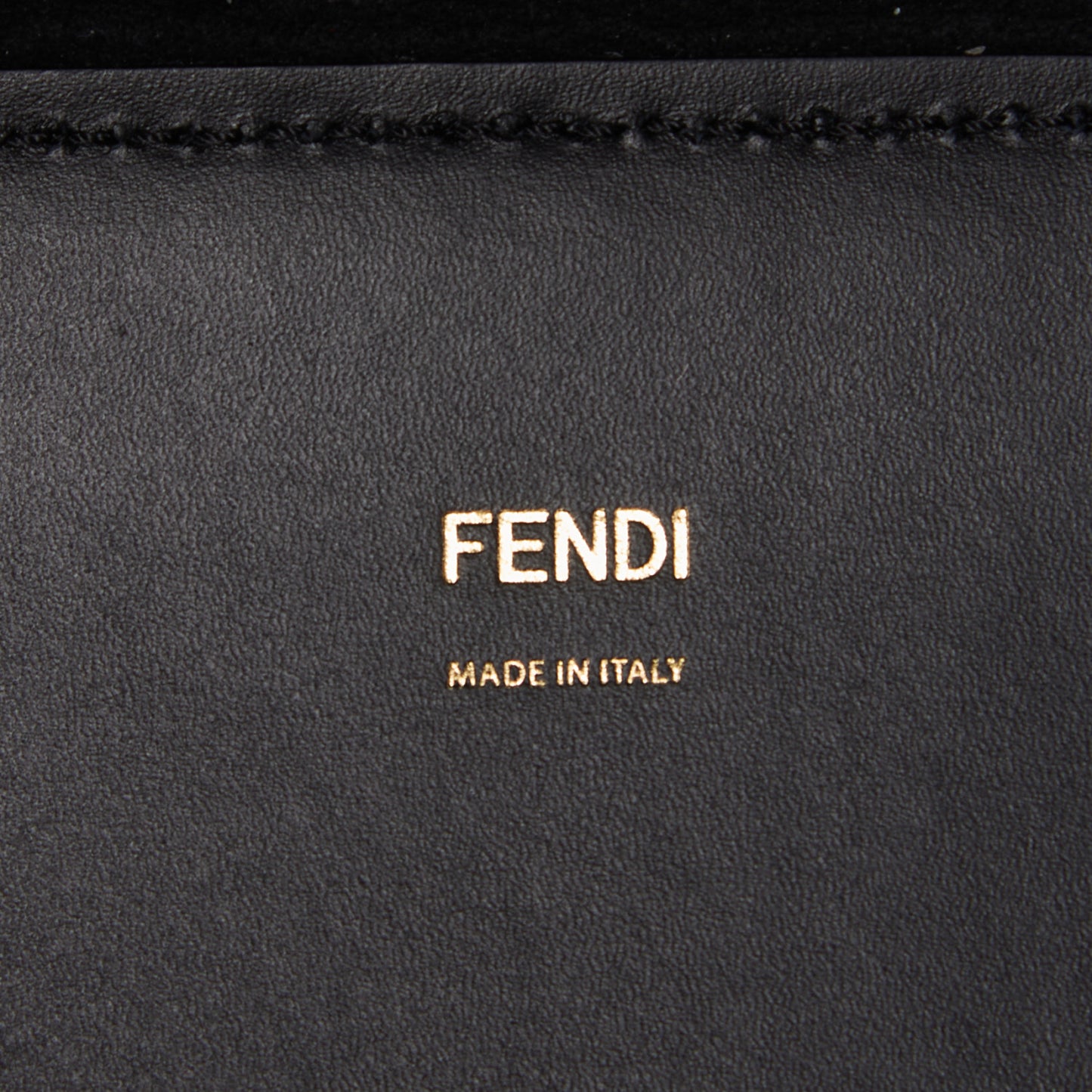 Vitello King Plexiglass Medium Fendi Sunshine Shopper Tote Black
