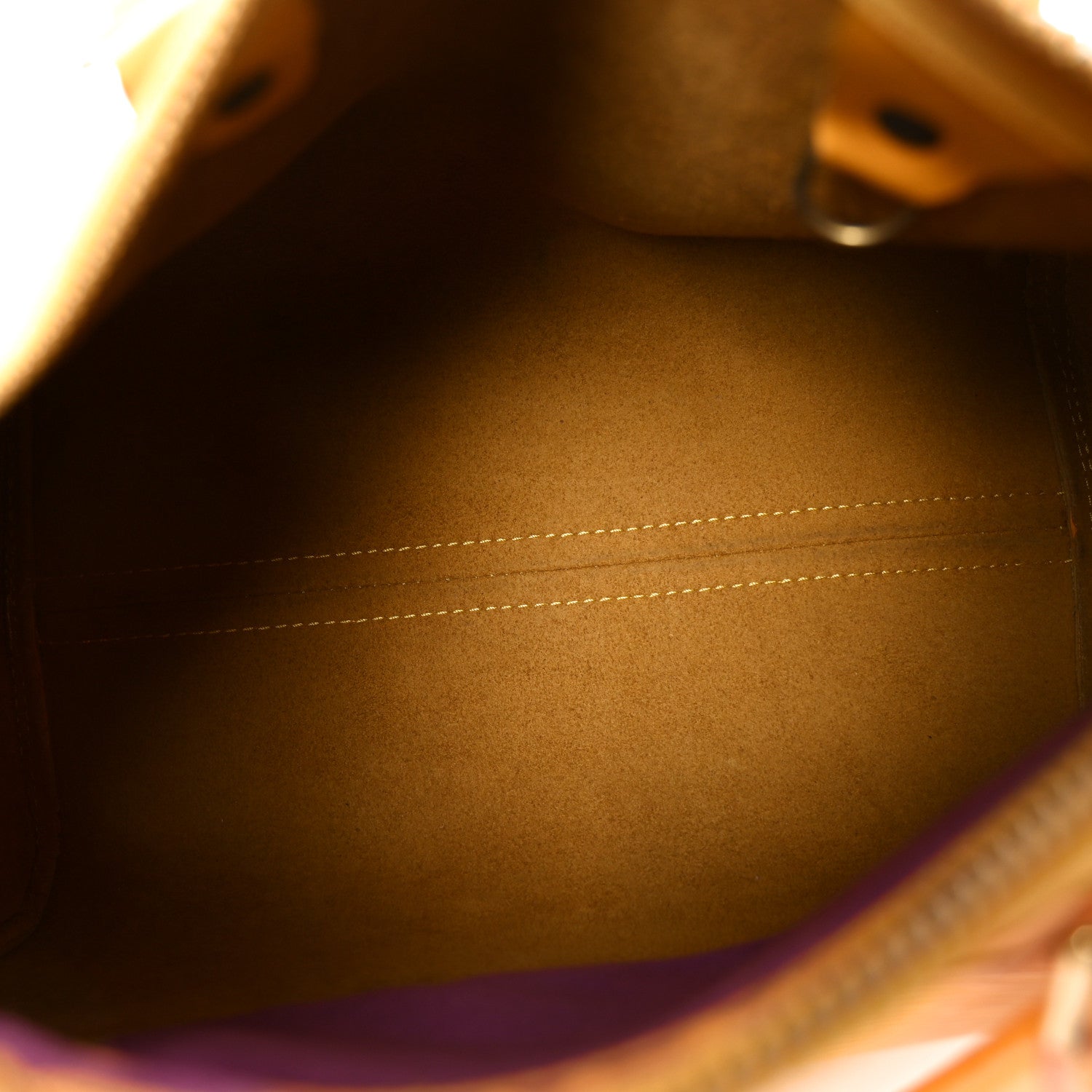 Louis Vuitton Epi Speedy 25 Tassil 5 of 10