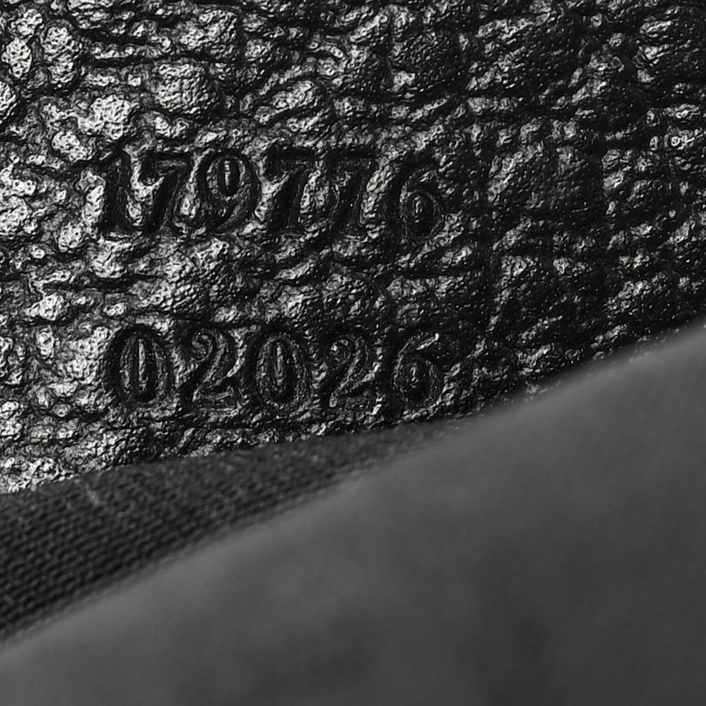 Nylon Monogram Small Hobo Black