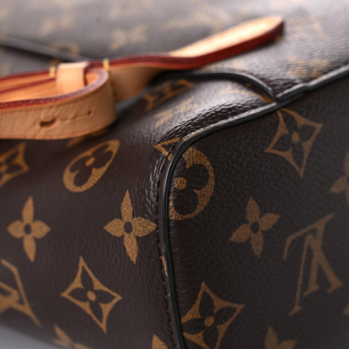 Monogram Montsouris NM Backpack