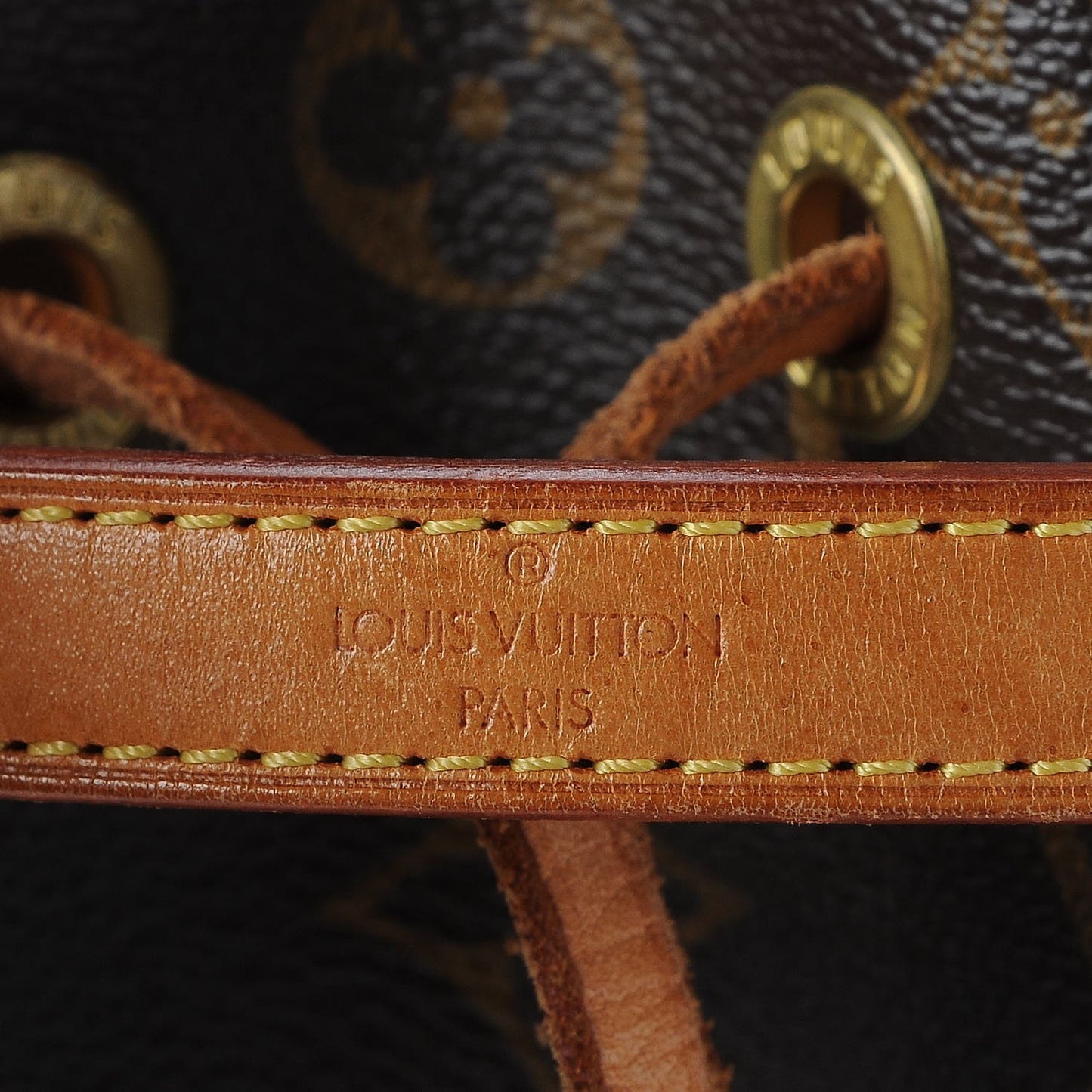 Monogram Mini Noe