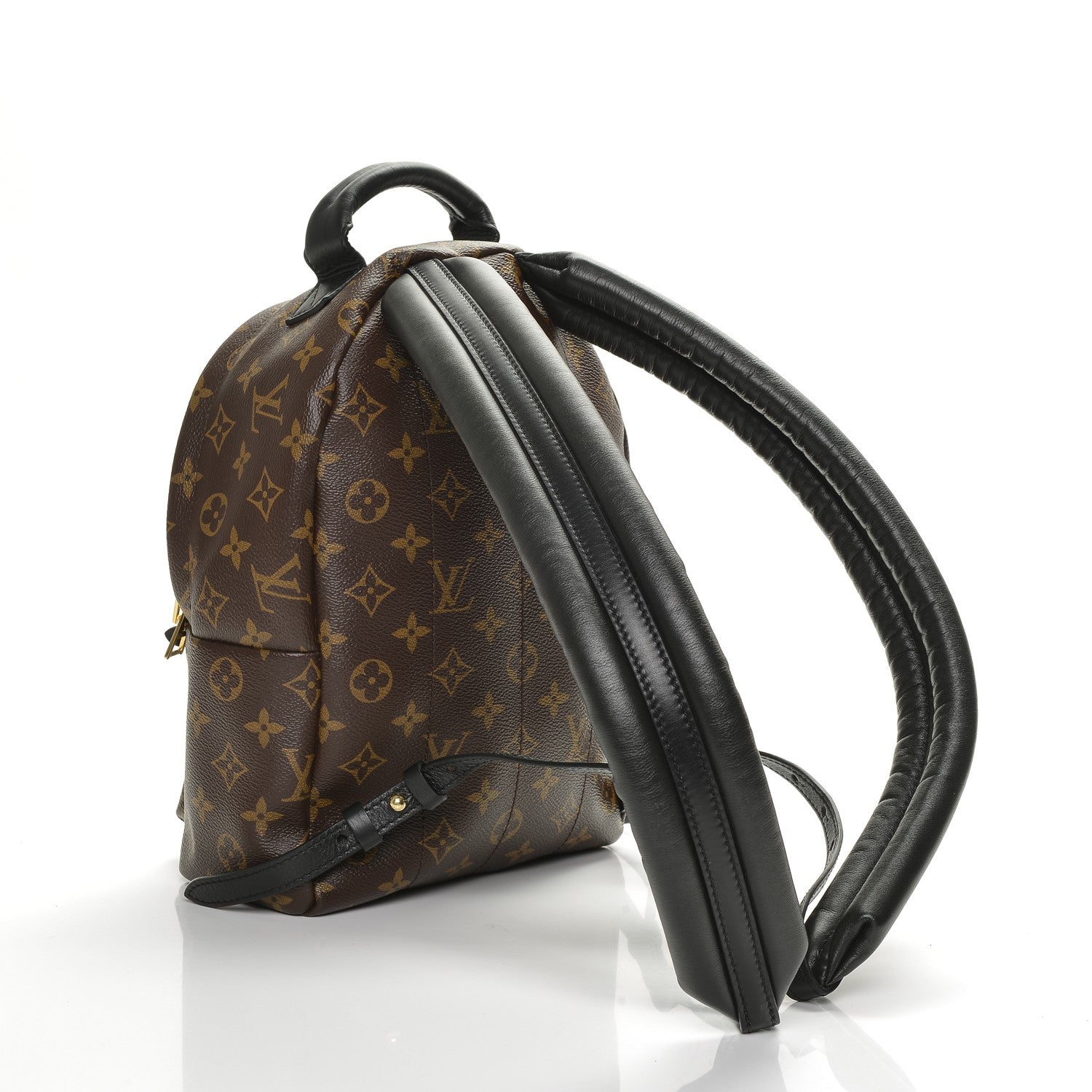 Louis Vuitton Monogram Palm Springs Backpack PM 3 of 6