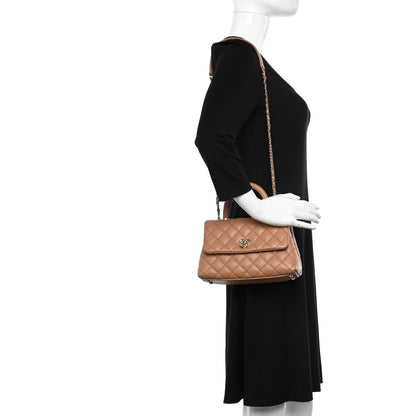Chanel Caviar Quilted Mini Coco Handle Flap Brown 2 of 11
