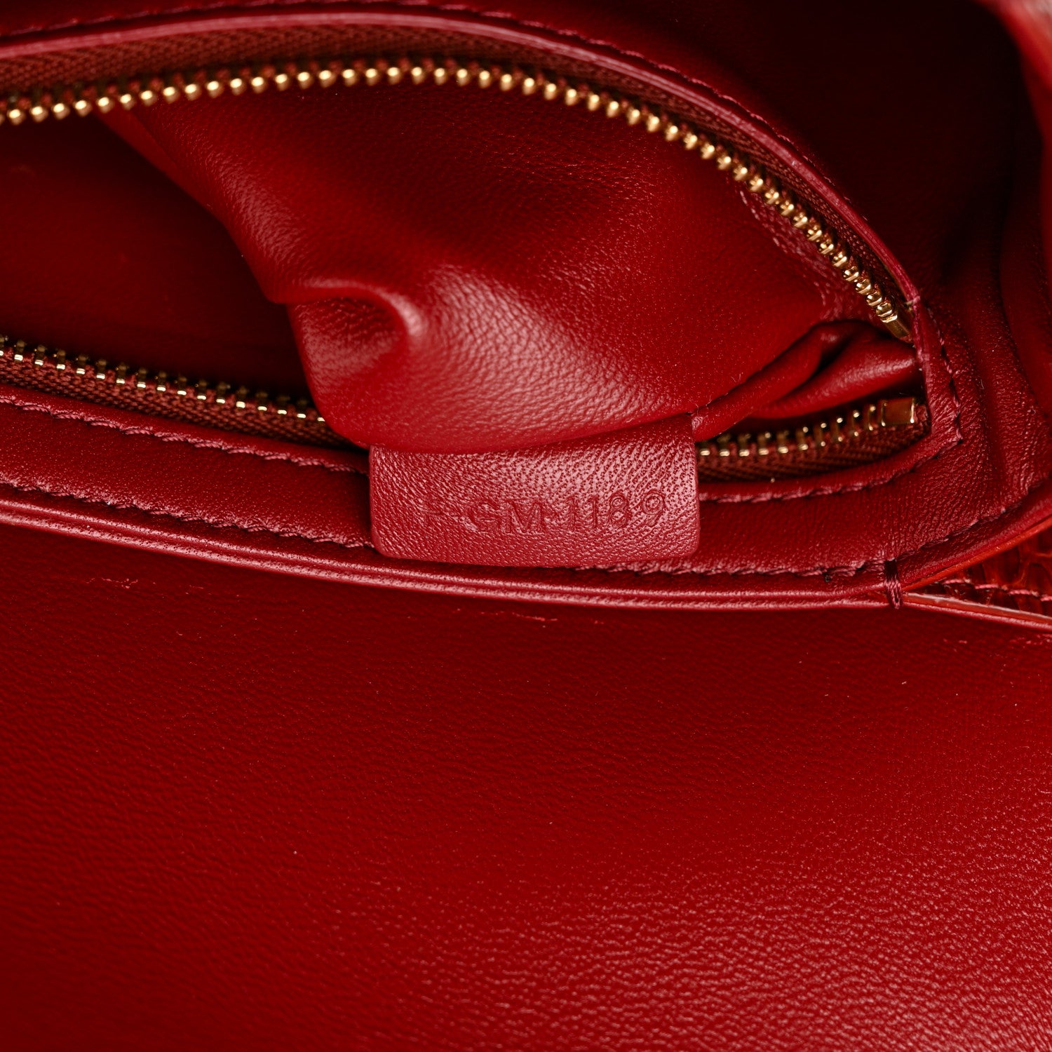 Celine Watersnake Teen Triomphe Ruby 9 of 15