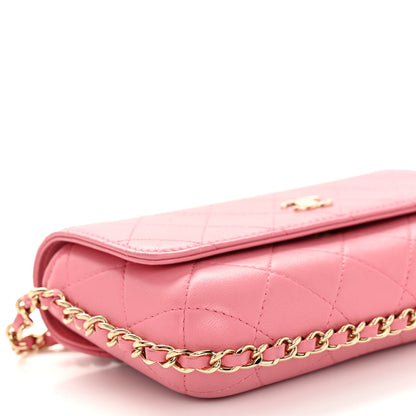 Chanel Calfskin Diamond Stitched Chain Around Flap Phone Holder Dark Pink 9 of 10