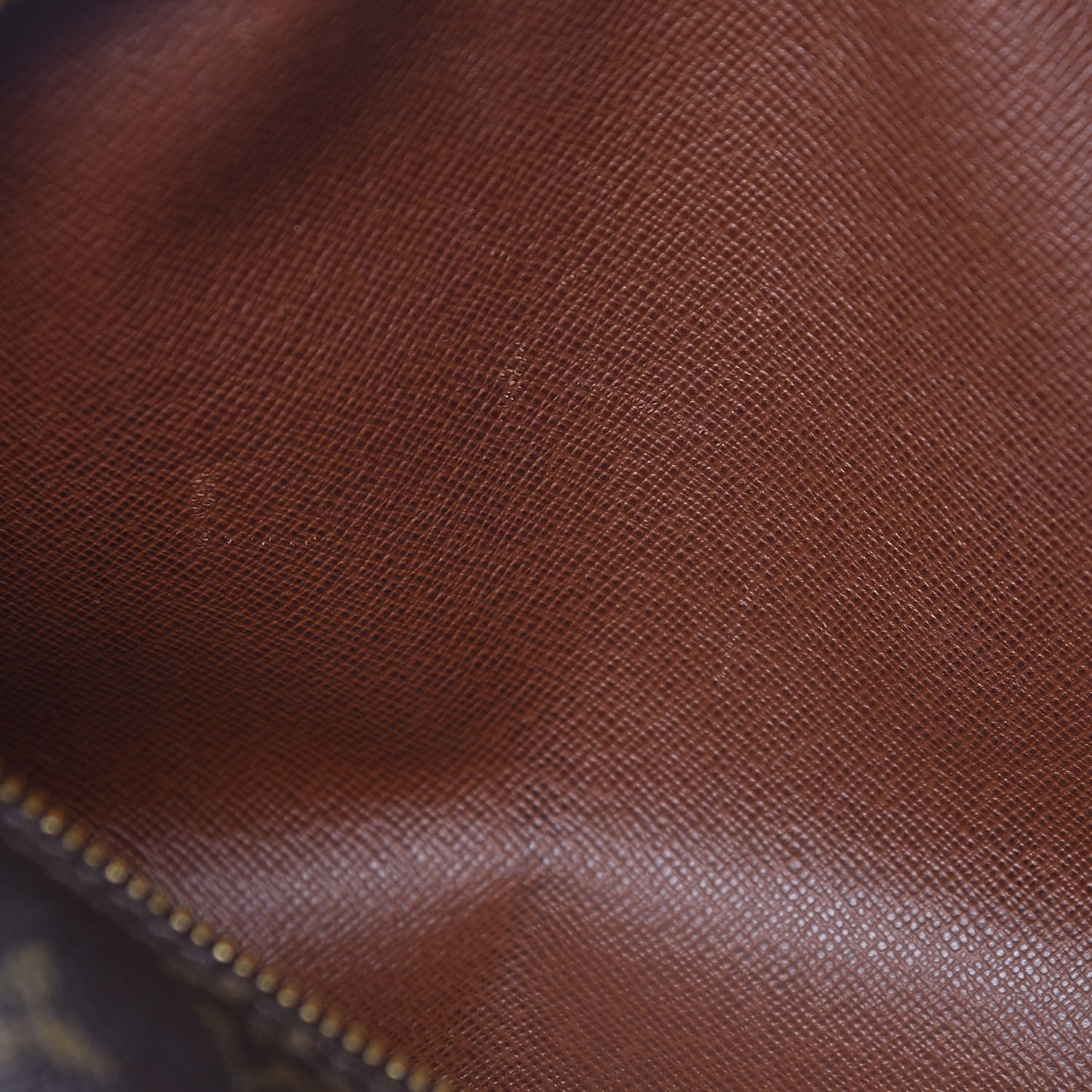 Monogram Papillon 26