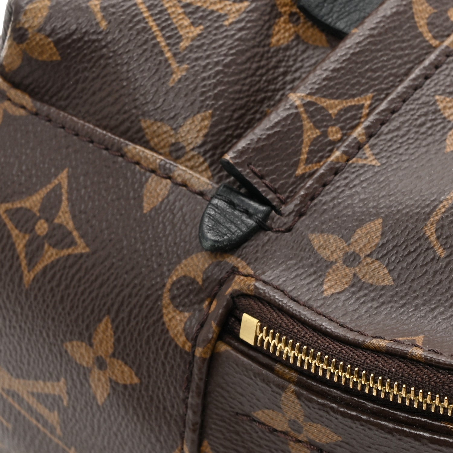 Louis Vuitton Monogram Palm Springs Backpack Mini 11 of 14