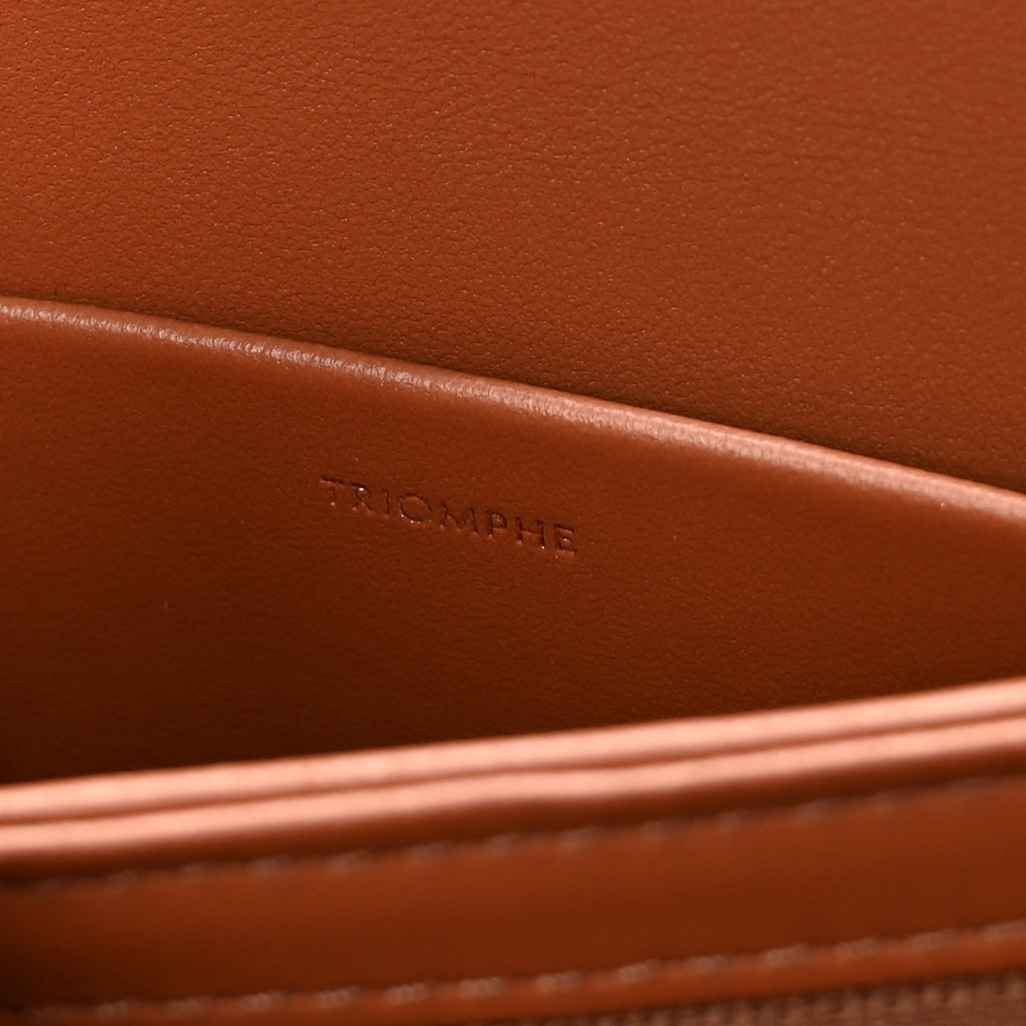 Calfskin Triomphe Canvas Teen Triomphe Bag Tan