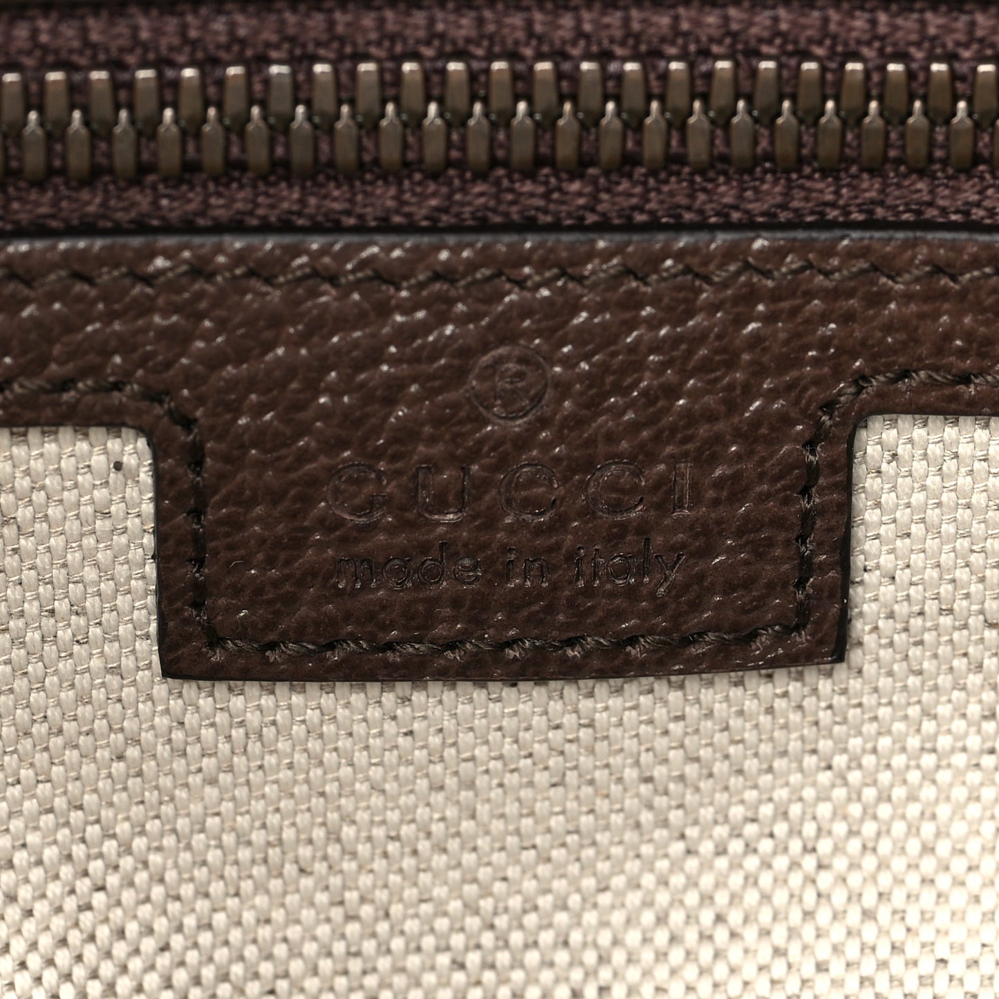 GG Supreme Monogram Web Small Ophidia Half Moon Hobo Brown