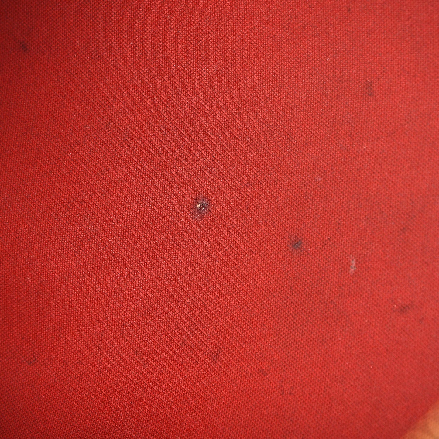 Damier Ebene Speedy 35