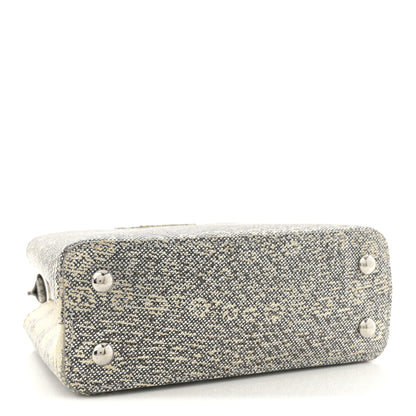 Louis Vuitton Lizard Mini Capucines Argento 4 of 10