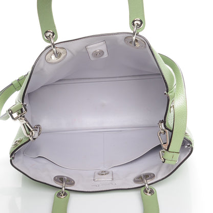Christian Dior Bullcalf Medium Diorissimo Light Green 7 of 21