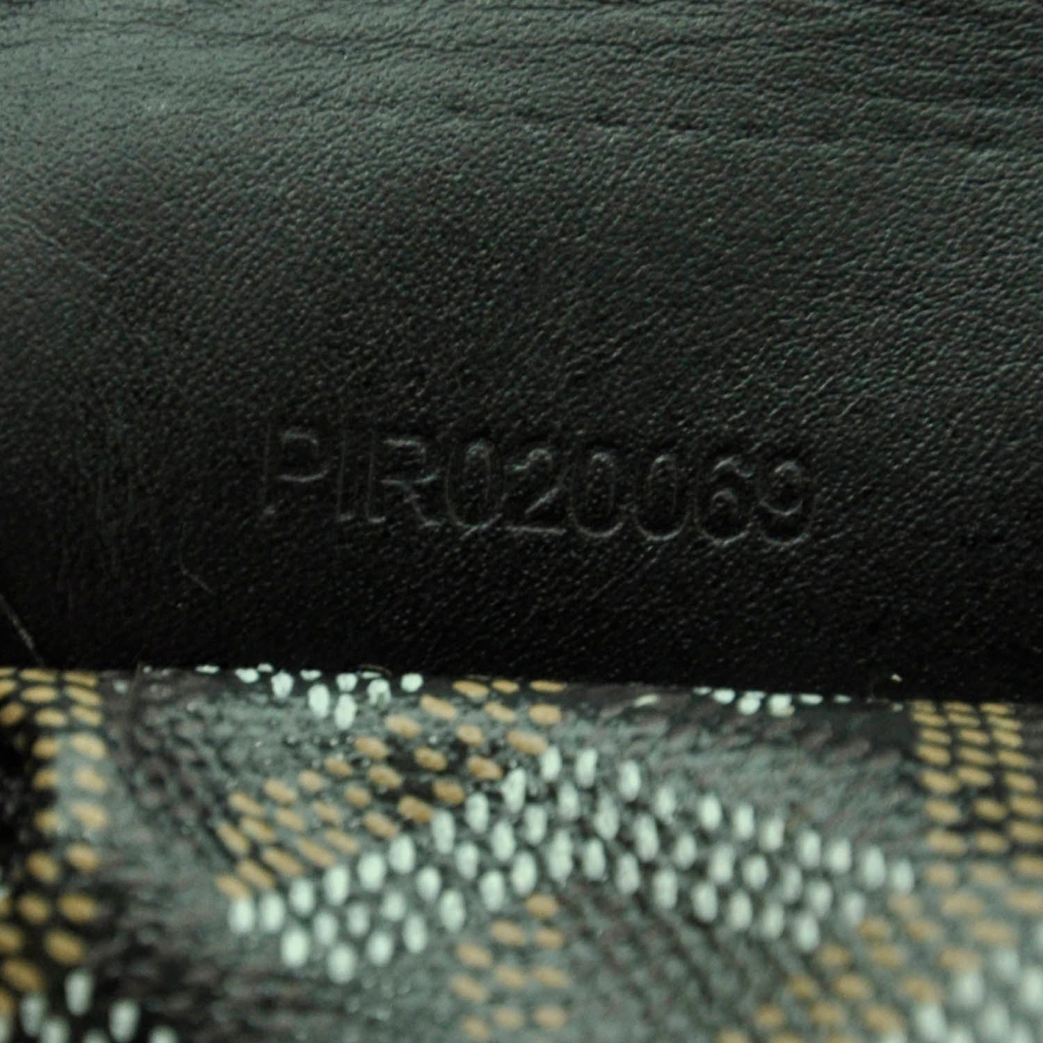 Goyard Goyardine Saint Louis PM Black 10 of 10