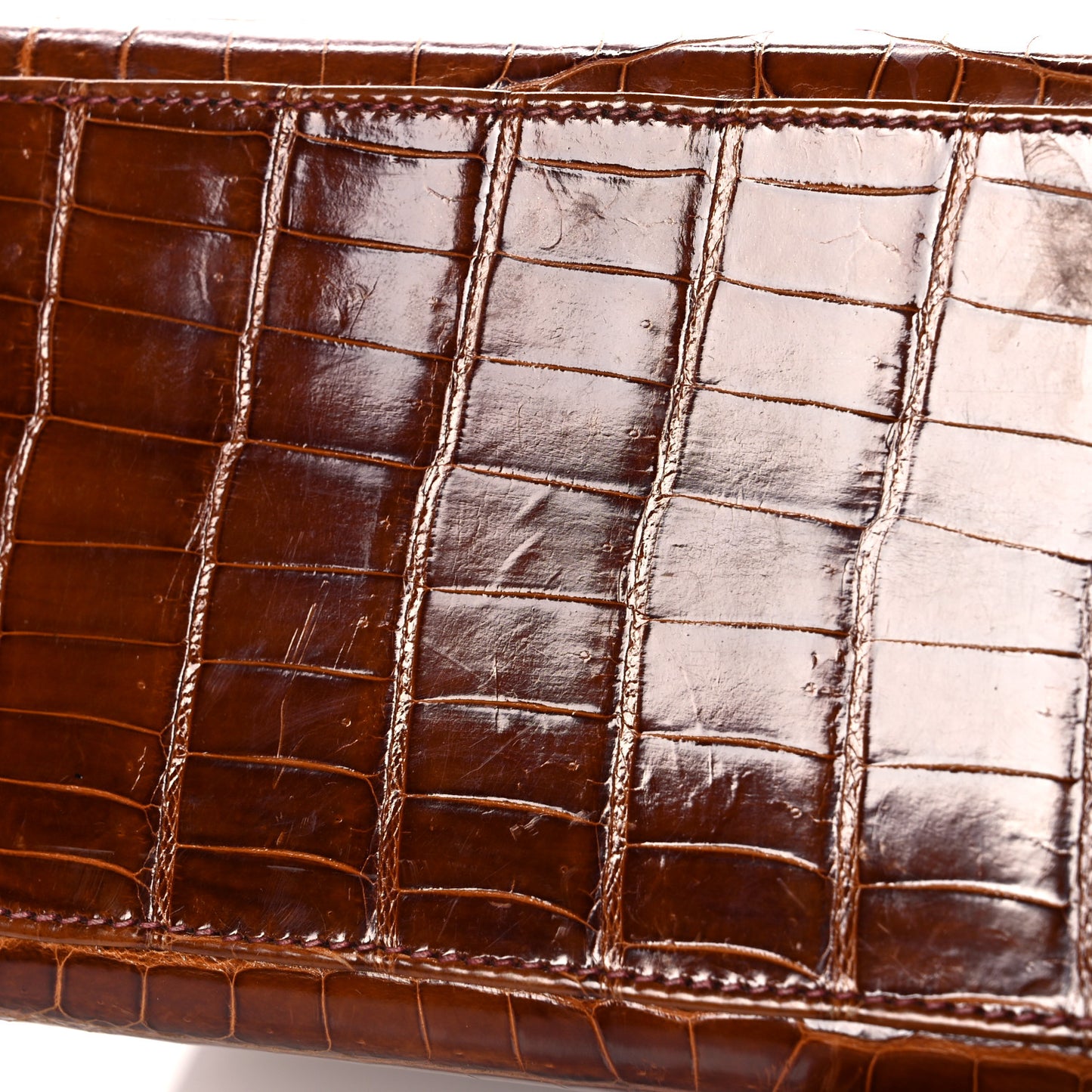 Shiny Niloticus Crocodile Kelly Sellier 28 Miel