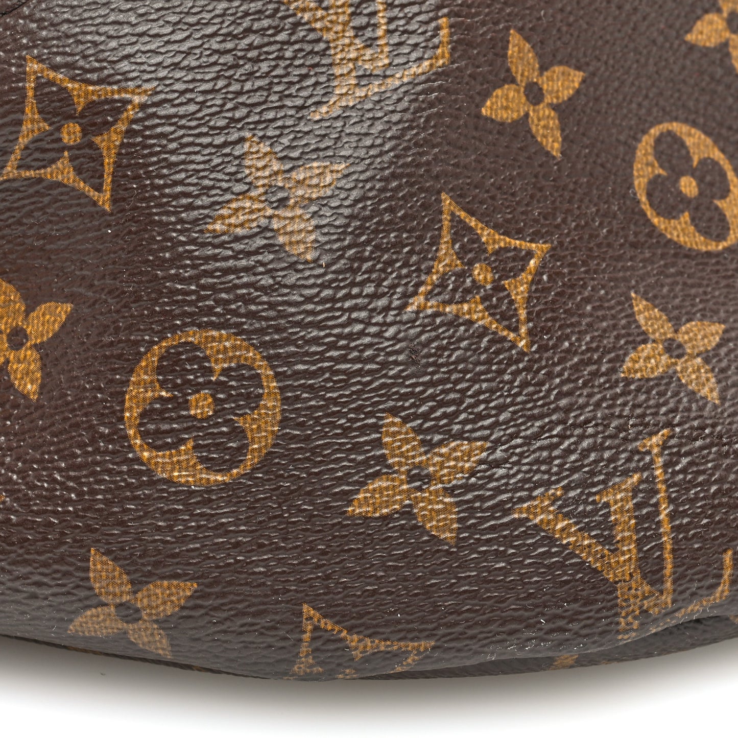 Monogram Bumbag