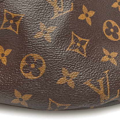 Louis Vuitton Monogram Bumbag 10 of 13