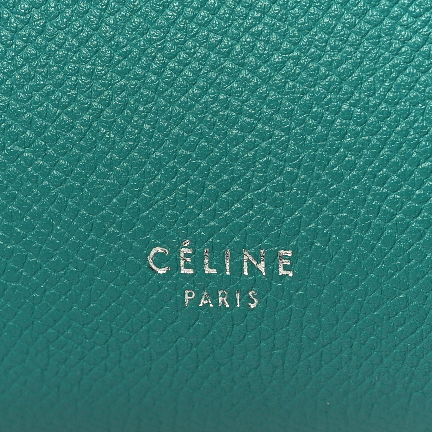 Grained Calfskin Micro Belt Bag Cactus