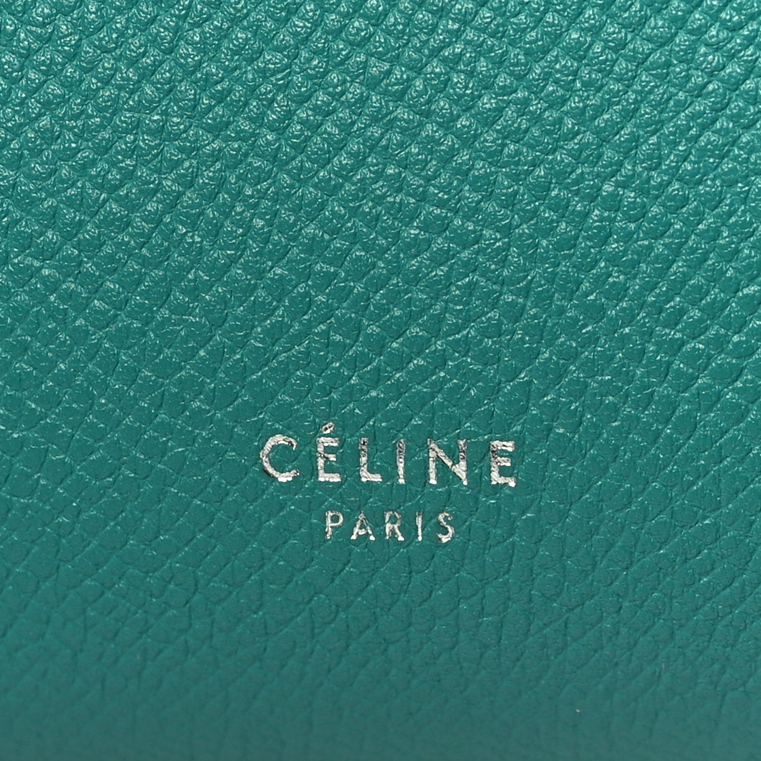Celine Grained Calfskin Micro Belt Bag Cactus 6 of 10