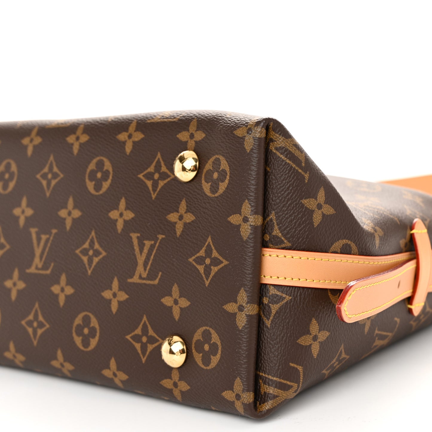 Monogram CarryAll PM