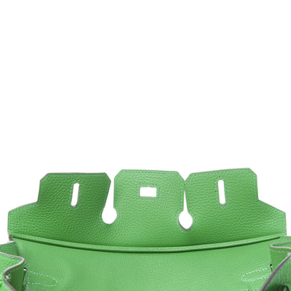 Hermes Togo Birkin 25 Bambou 8 of 33