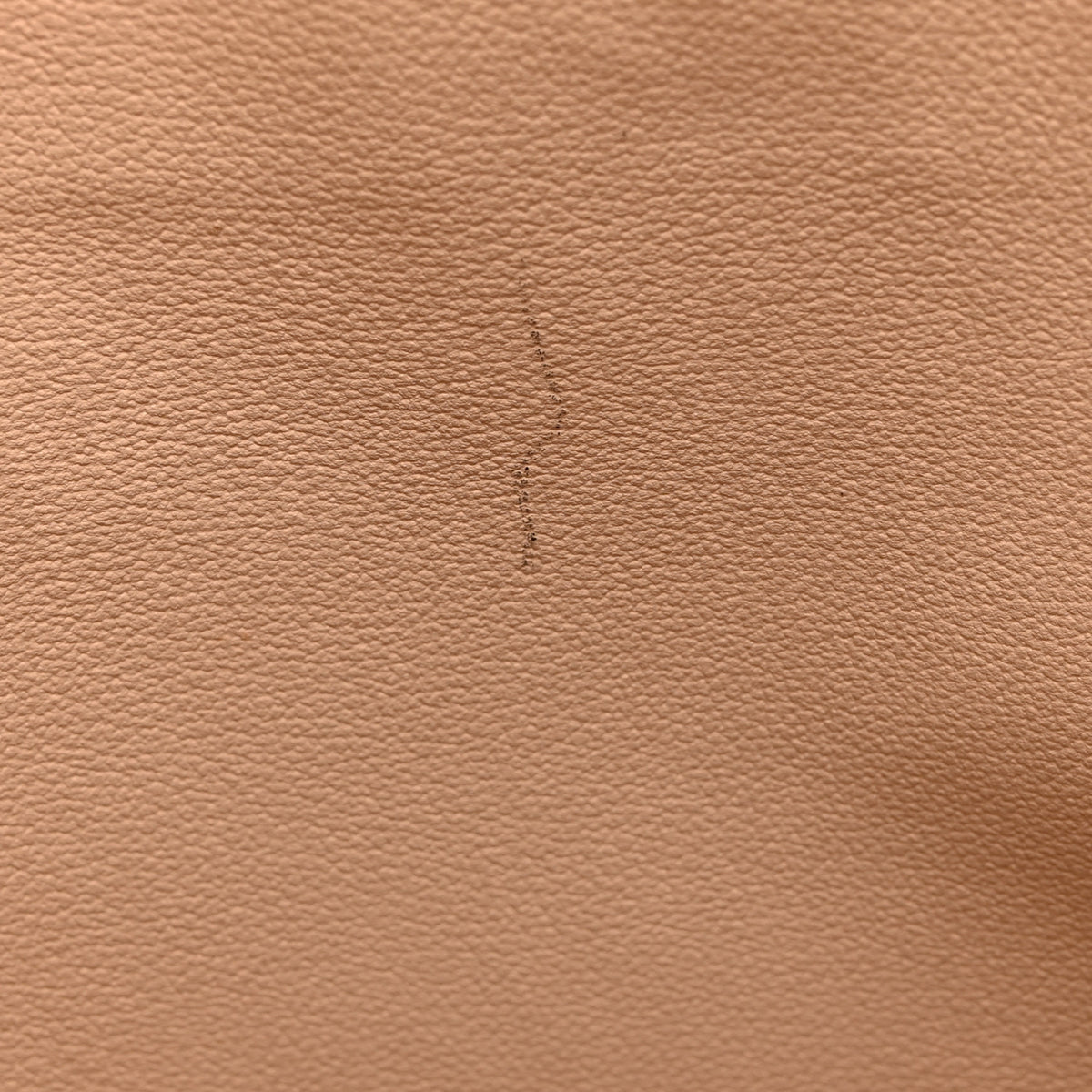 Monogram Sac Plat