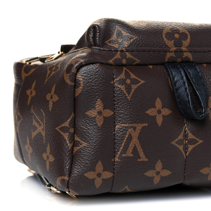 Louis Vuitton Monogram Palm Springs Backpack Mini 9 of 10