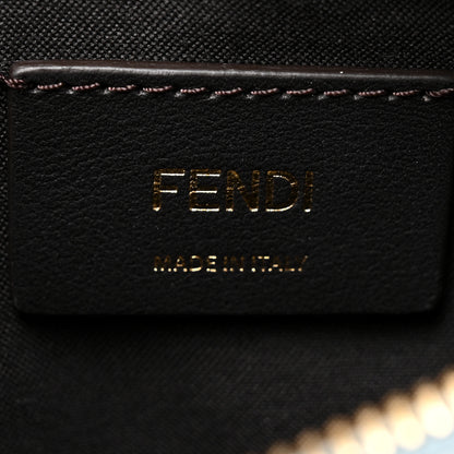 Fendi Vitello Grace Matte Mini Fendigraphy Hobo Bag Anice 6 of 10