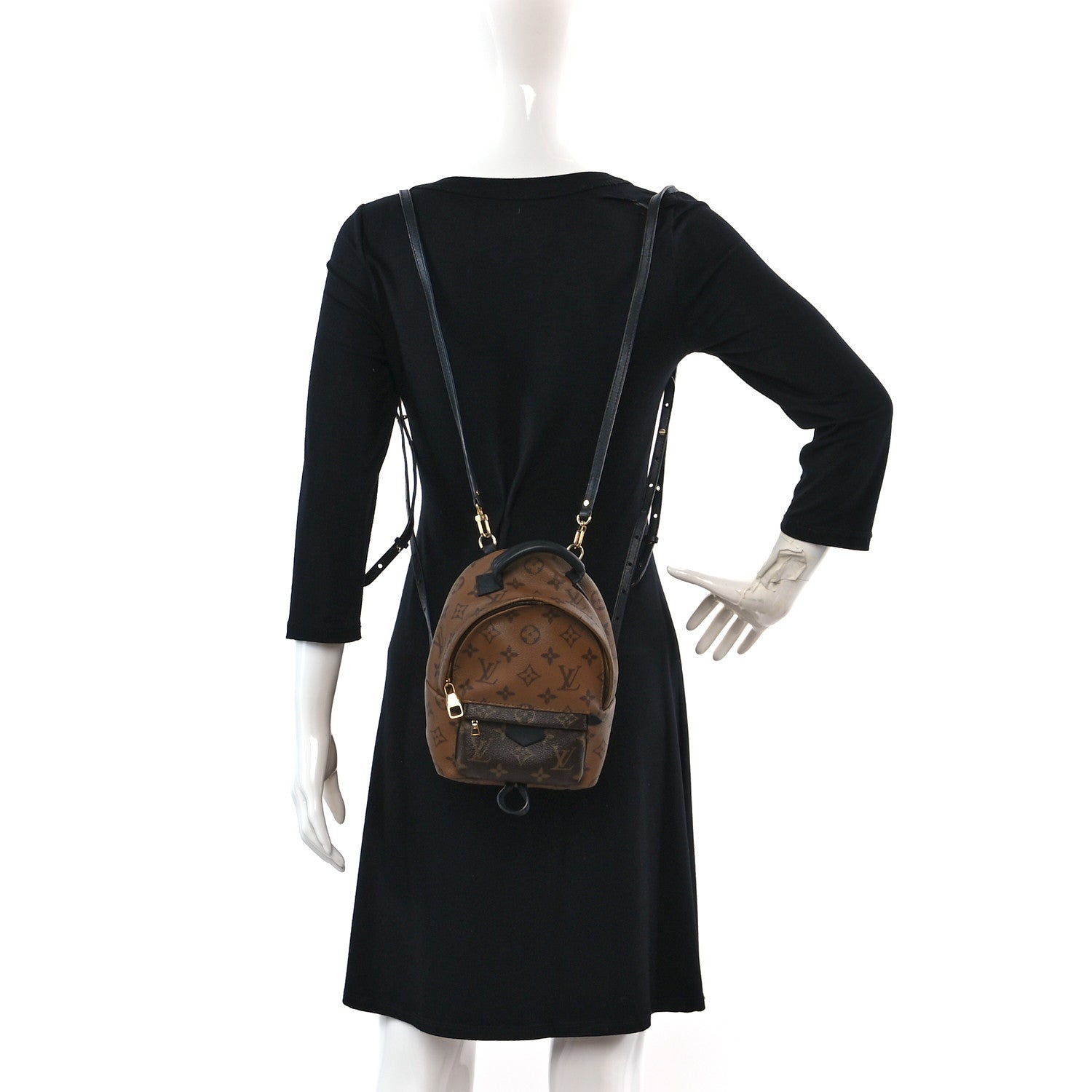 Louis Vuitton Reverse Monogram Palm Springs Backpack Mini 2 of 15