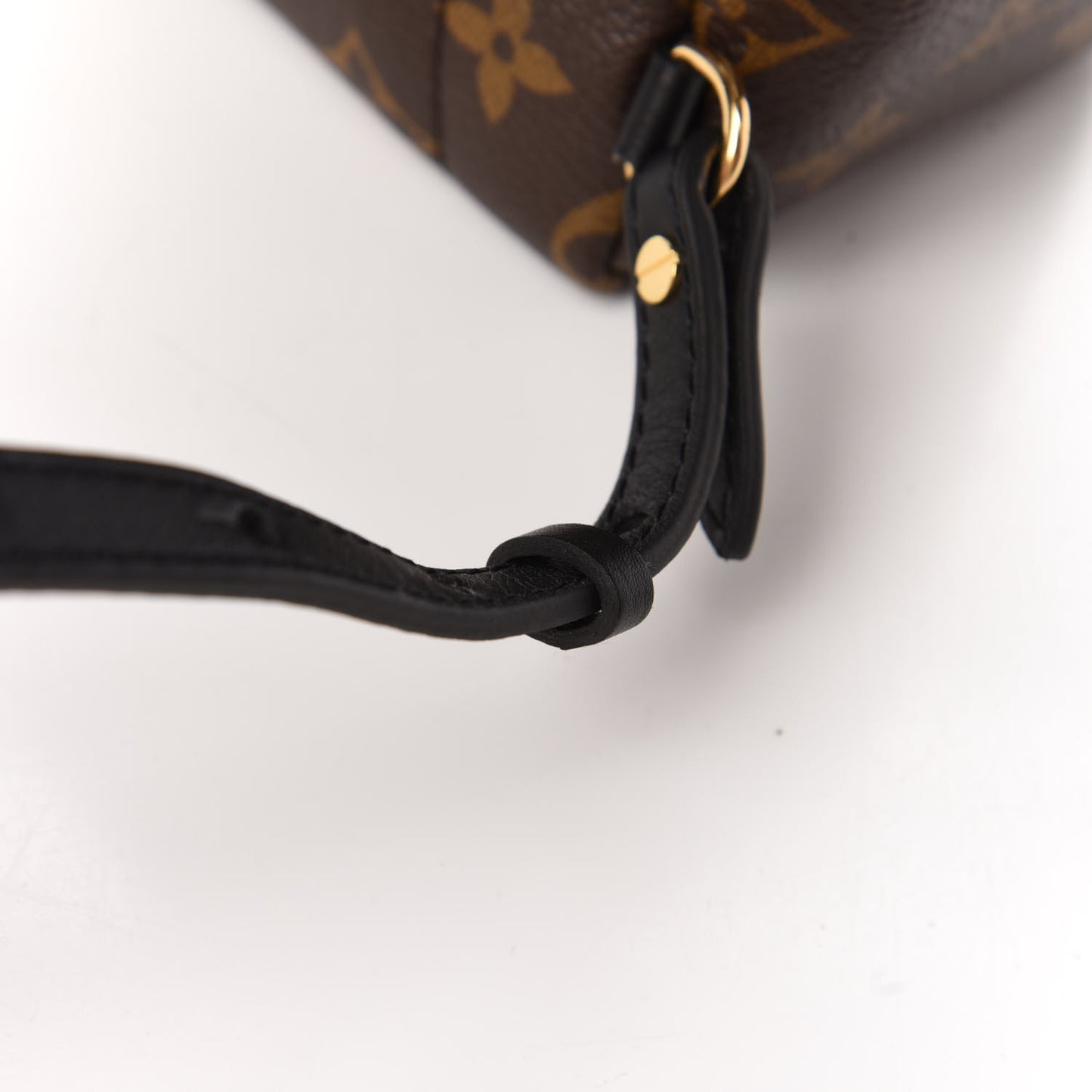 Monogram Palm Springs Backpack Mini