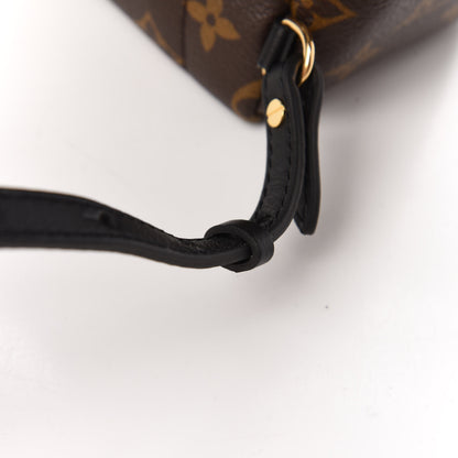 Louis Vuitton Monogram Palm Springs Backpack Mini 10 of 10