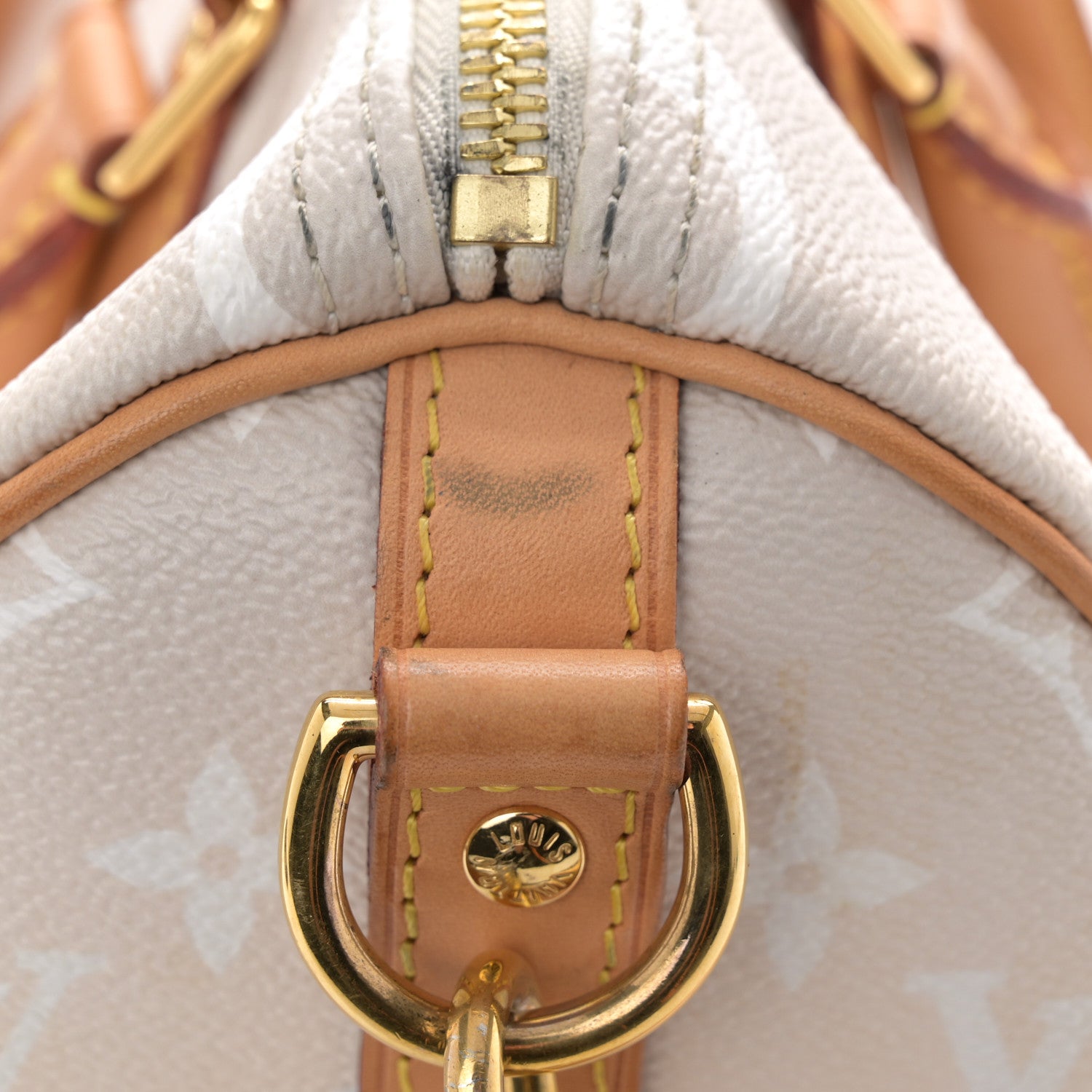 Louis Vuitton Monogram Giant By The Pool Speedy Bandouliere 25 Brume 14 of 19